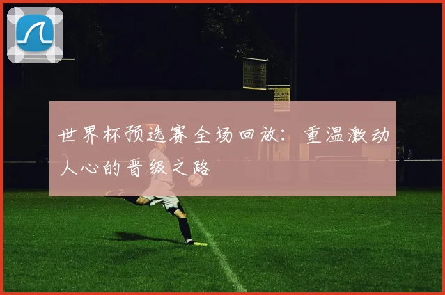 世界杯预选赛全场回放:重温激动人心的晋级之路