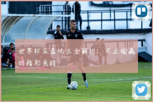 世界杯亚盘玩法全解析:不止输赢的精彩竞猜