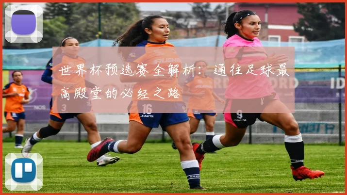 世界杯预选赛全解析:通往足球最高殿堂的必经之路
