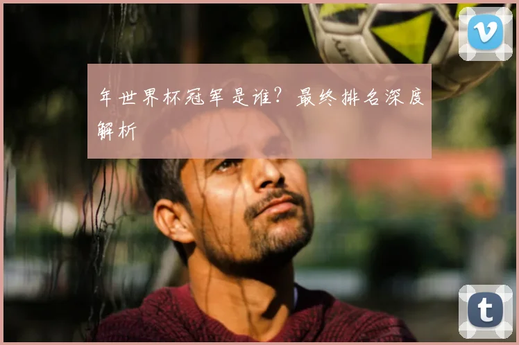 年世界杯冠军是谁?最终排名深度解析