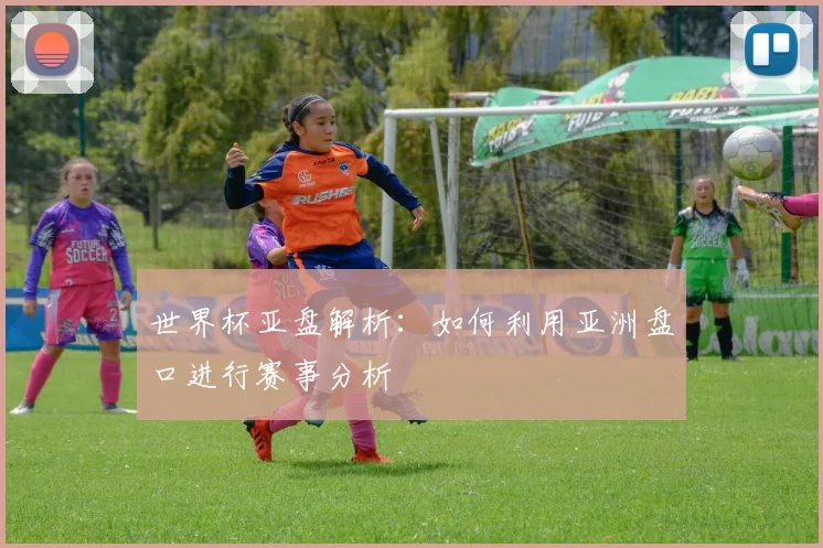 世界杯亚盘解析:如何利用亚洲盘口进行赛事分析