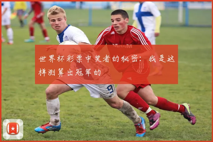 世界杯彩票中奖者的秘密:我是这样测算出冠军的