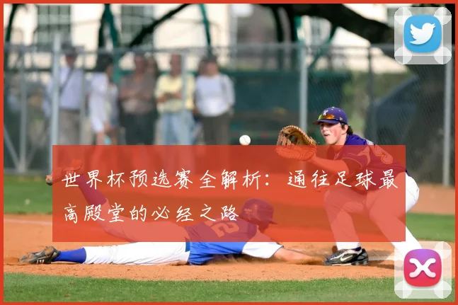 世界杯预选赛全解析:通往足球最高殿堂的必经之路